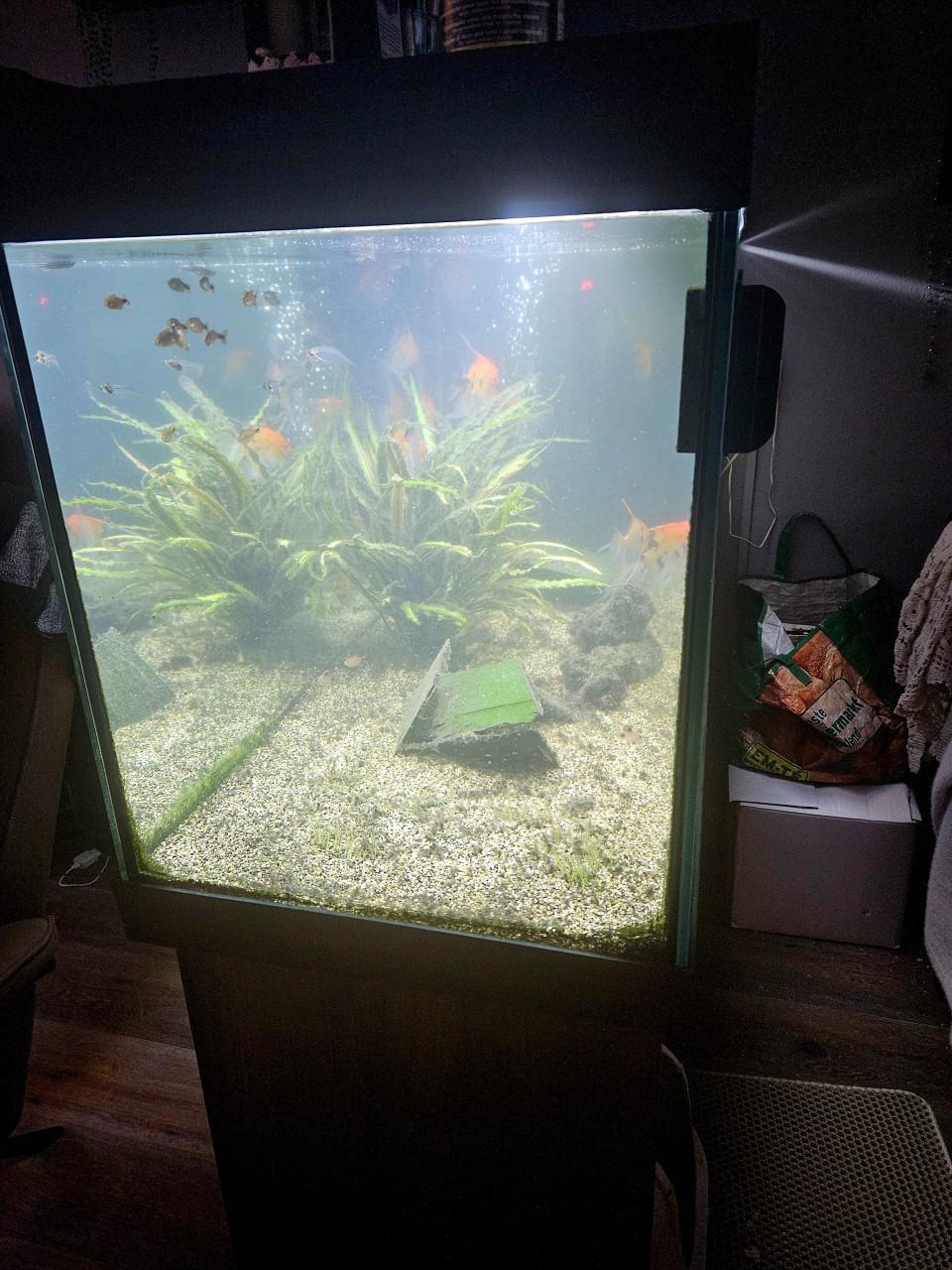 Juwel aquarium