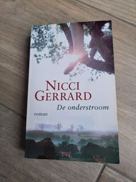 Roman De onderstroom van Nicci Gerrard