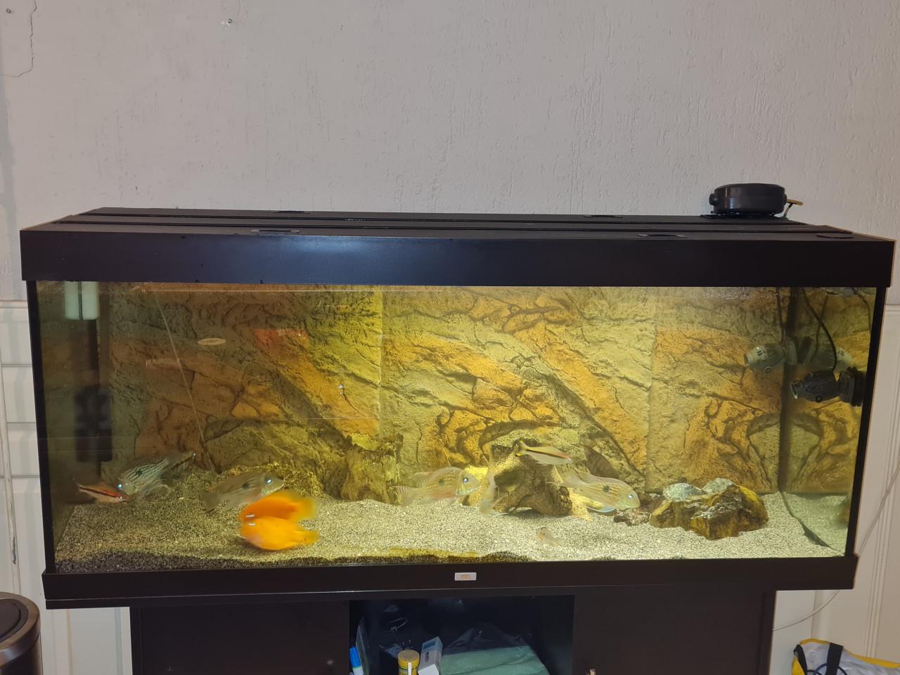 Juwel Rio 450 compleet