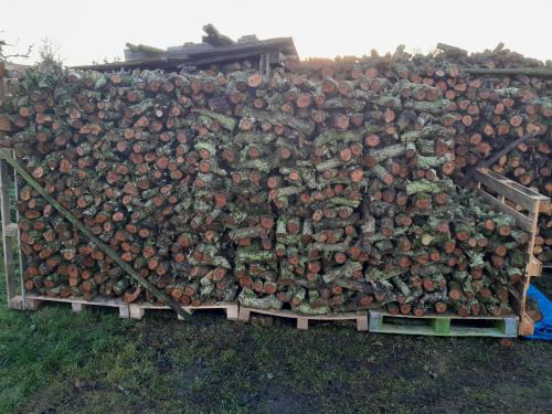 Perenhout - middelmaat. VERS GEZAAGD.