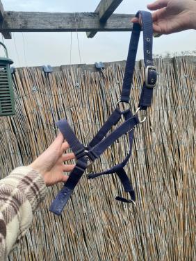 Gratis halsters full en cob