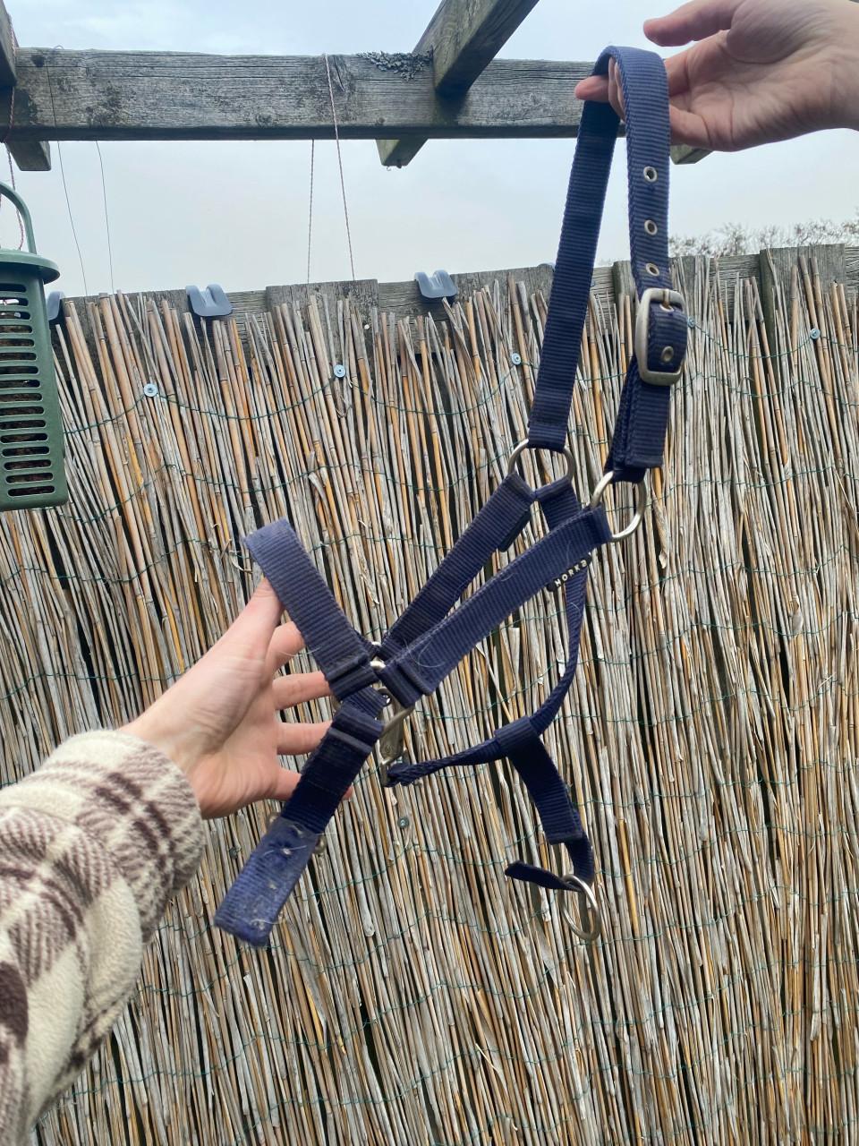 Gratis halsters full en cob