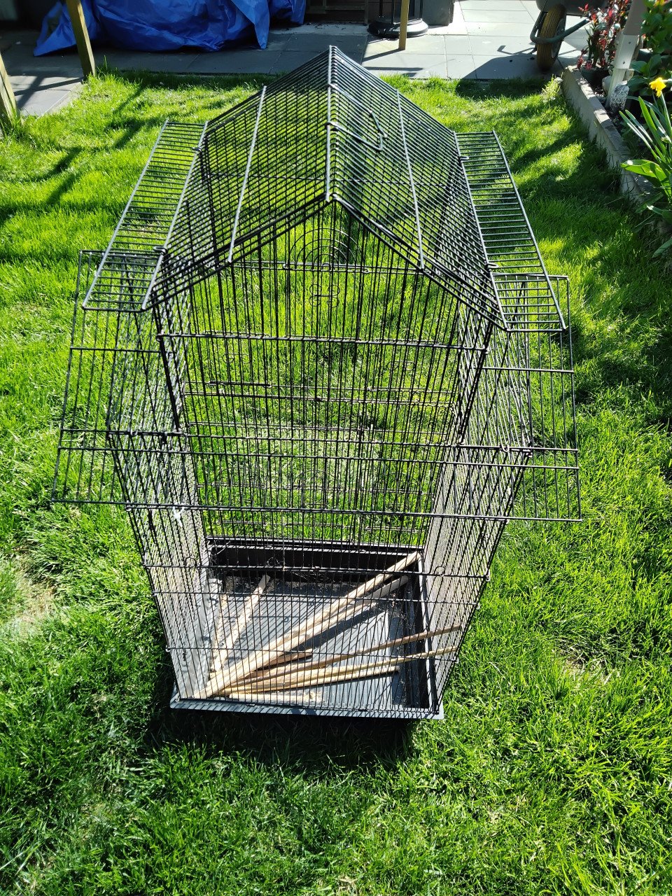 Vogelkooi