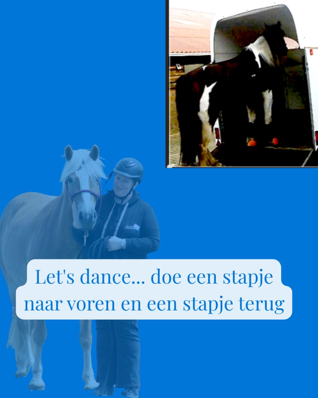 Wie heeft er hulp nodig, jij of je paard?!