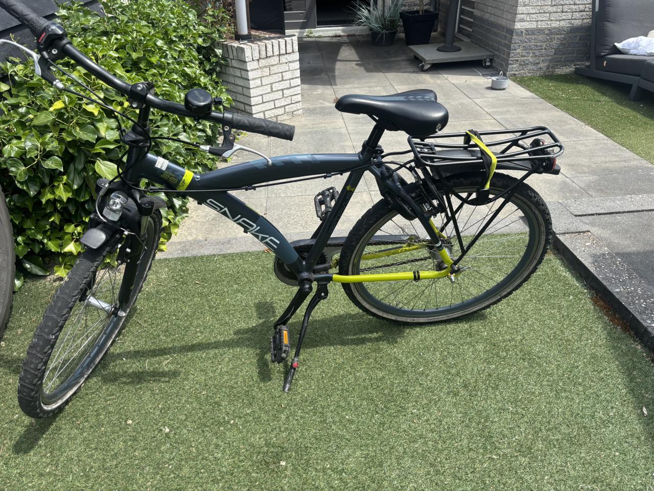Batavus snake 26 inch