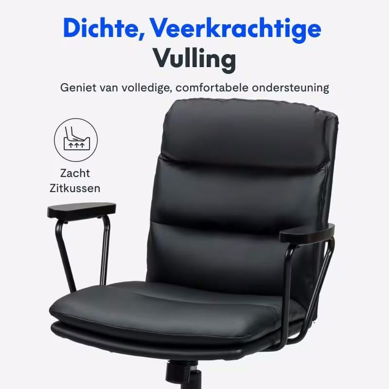 Loungestoel / bureaustoel HC3 - zwart - FlexiSpot - nieuw