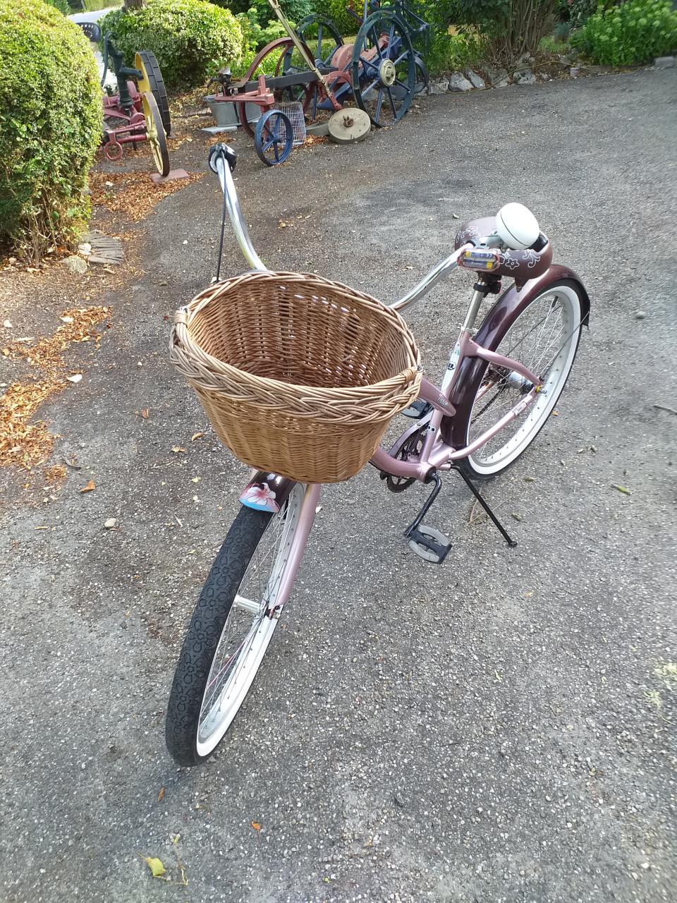 ""MOOIE MEISJES CRUISER MET MAND EN EN VERSNELLINGEN""