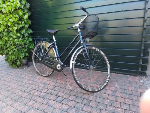 Te koop Giant damesfiets