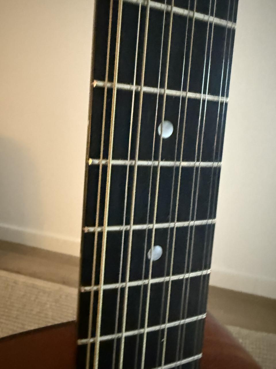 Eastman 12-string E1D Deluxe