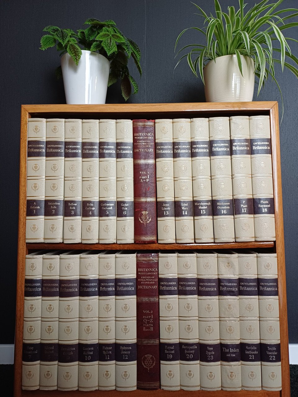 Encyclopaedia Britannica, Engelstalig en 24 delen.