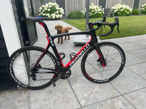 Pinarello Dogma F10