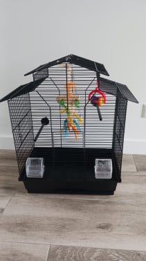 Vogelkooi