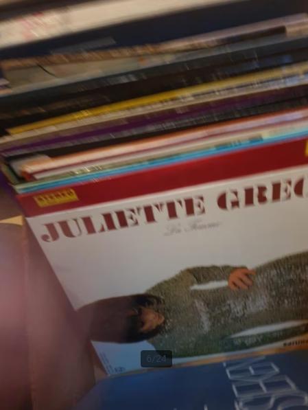 4 grote dozen elpees