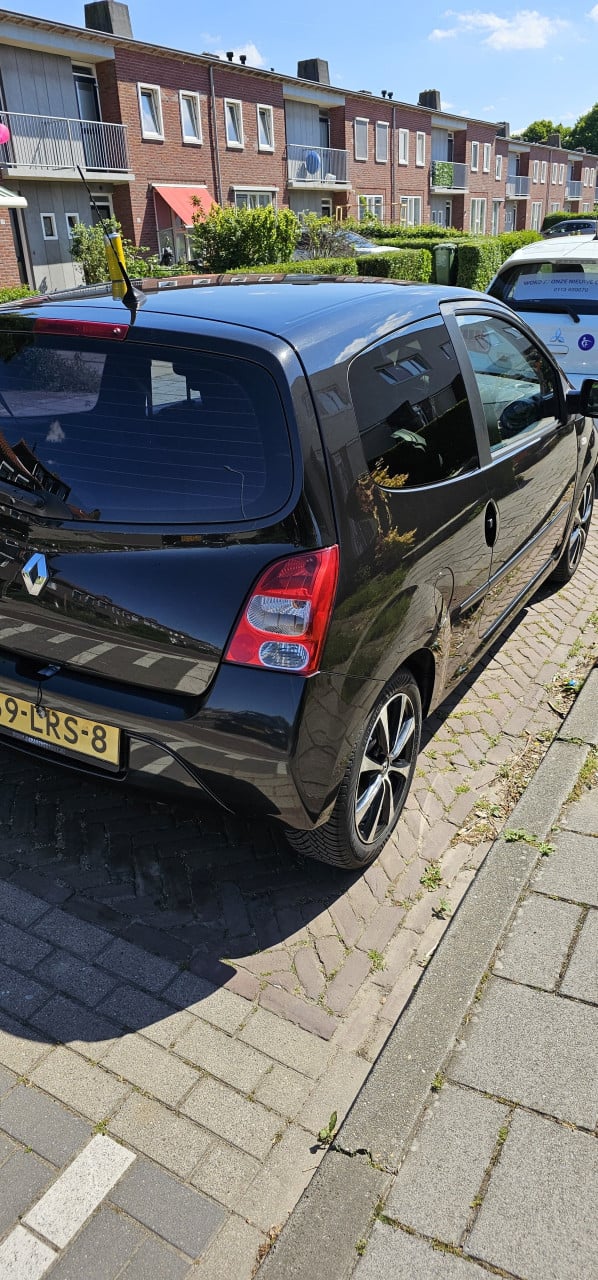 Leuke Renault Twingo