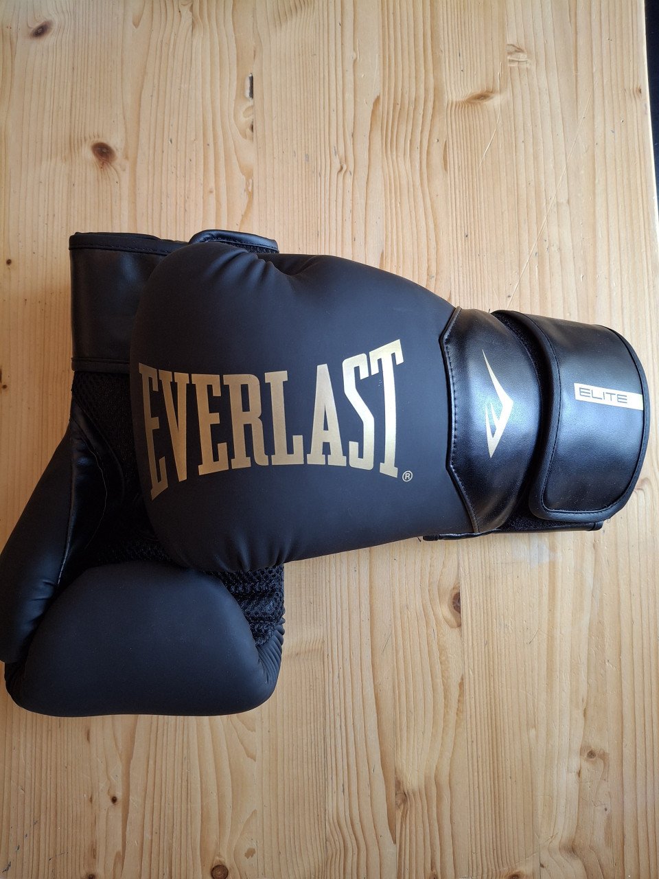 Box handschoenen Evergreen NIEUW
