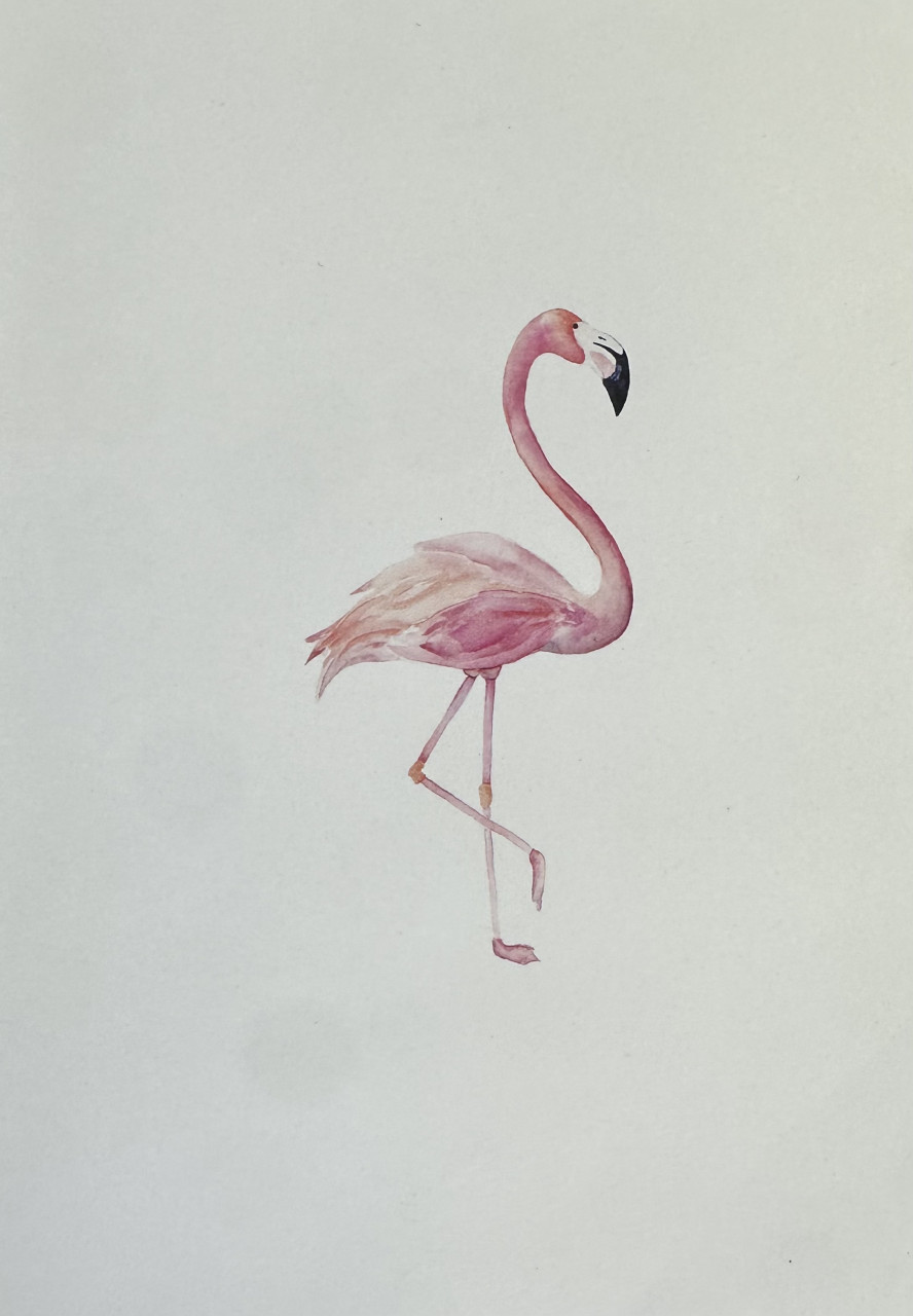 Vijf posters (wereldkaart, flamingo, bloem en quotes)