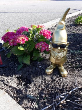 Tuinkabouter goud met zwarte zonnebril