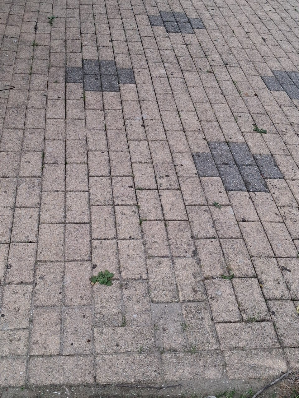 Betonnen Klinkers - ca 30m²