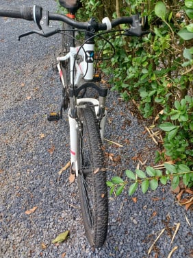 Rockrider st100 dames mtb