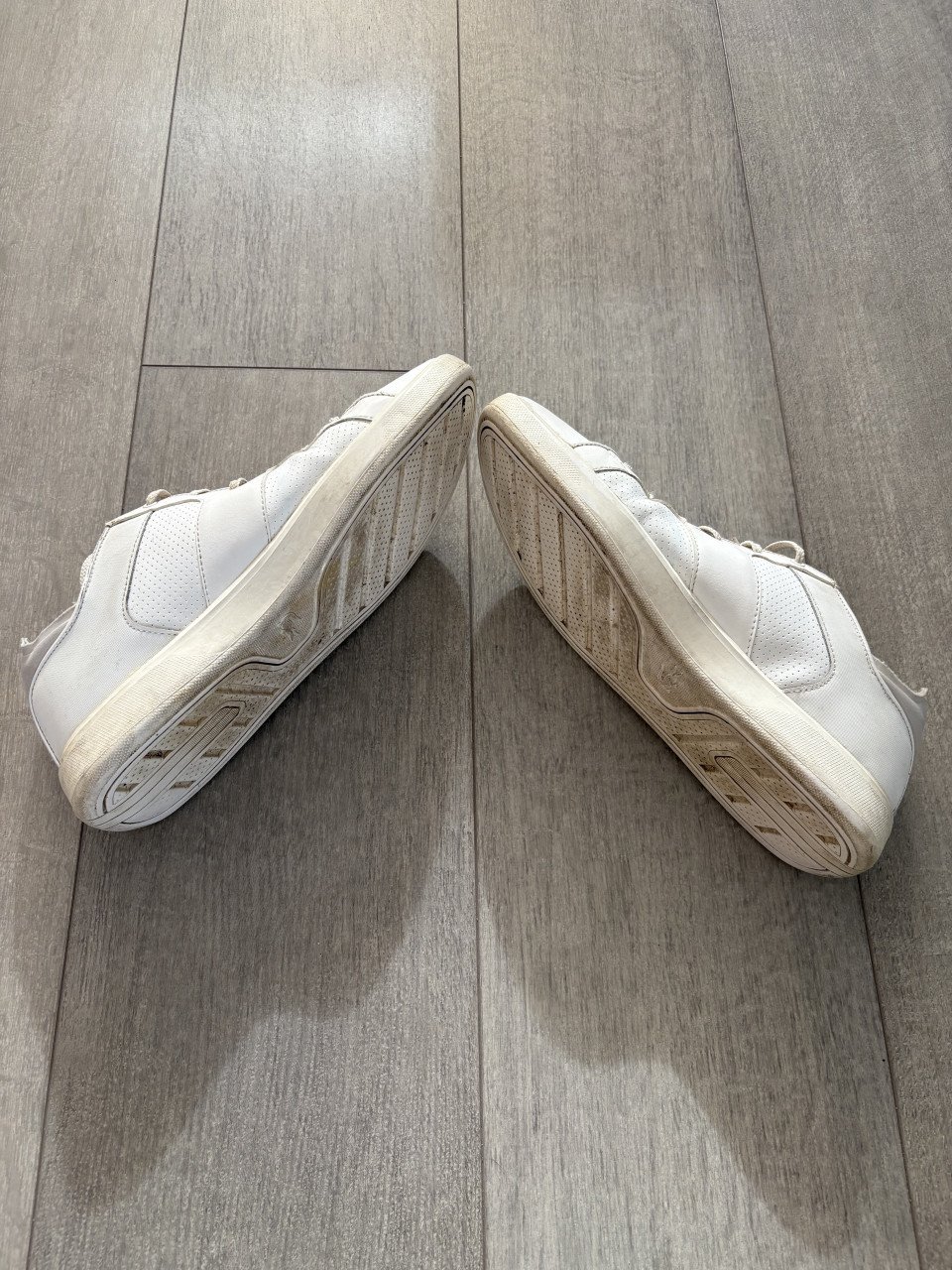Lacoste schoenen wit.