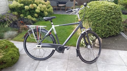 Gazelle eclipse