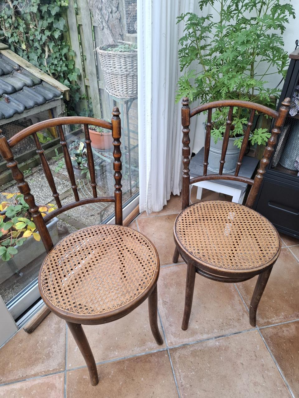 Vintage: 2 Thonet stoelen