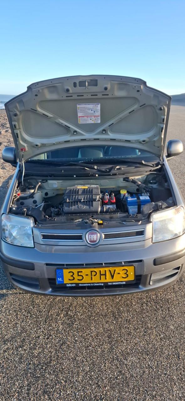 Fiat panda