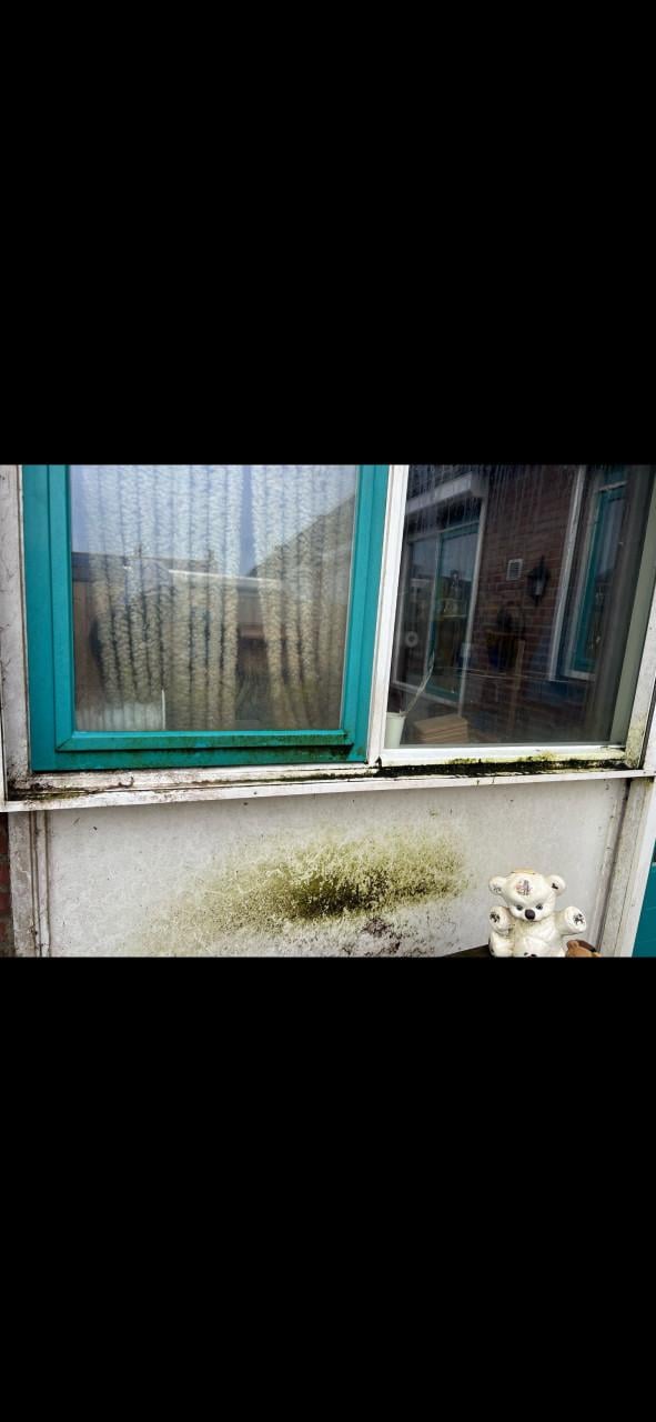 Hogedruk reinigen/schoonmaak tuin/gevel/erven/ straten en meer