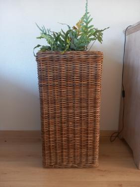 Plantenbak rotan