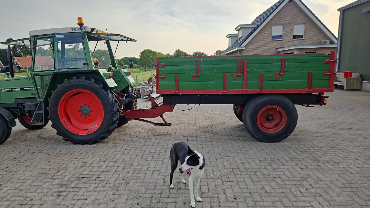 Kippertje