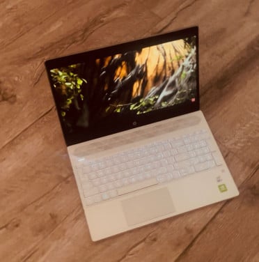 Zeer Nette Snelle Hp Laptop i7-1065G7 - 16 GB - 512 SSD - GeForce MX250 2GB