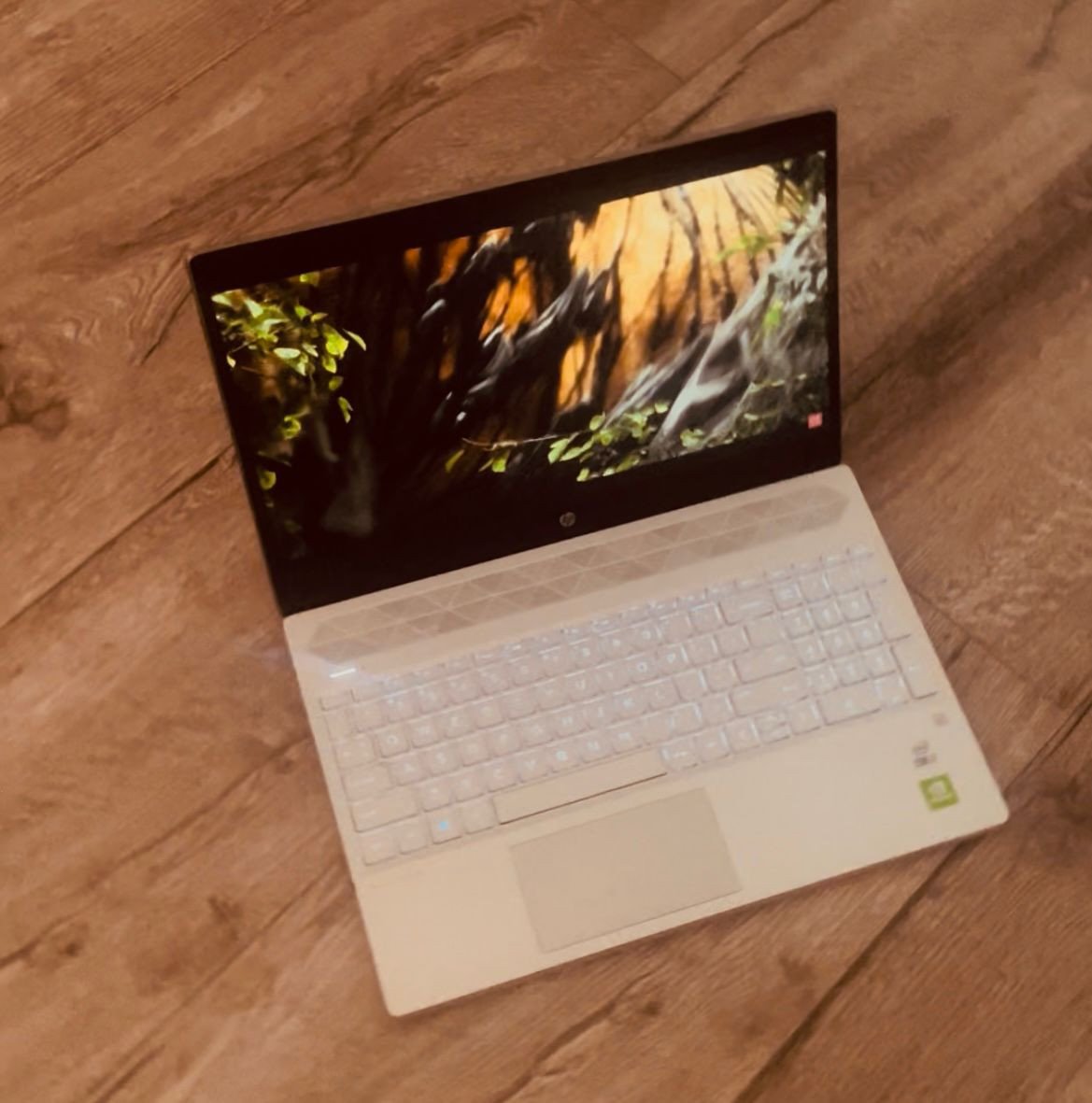 Zeer Nette Snelle Hp Laptop i7-1065G7 - 16 GB - 512 SSD - GeForce MX250 2GB