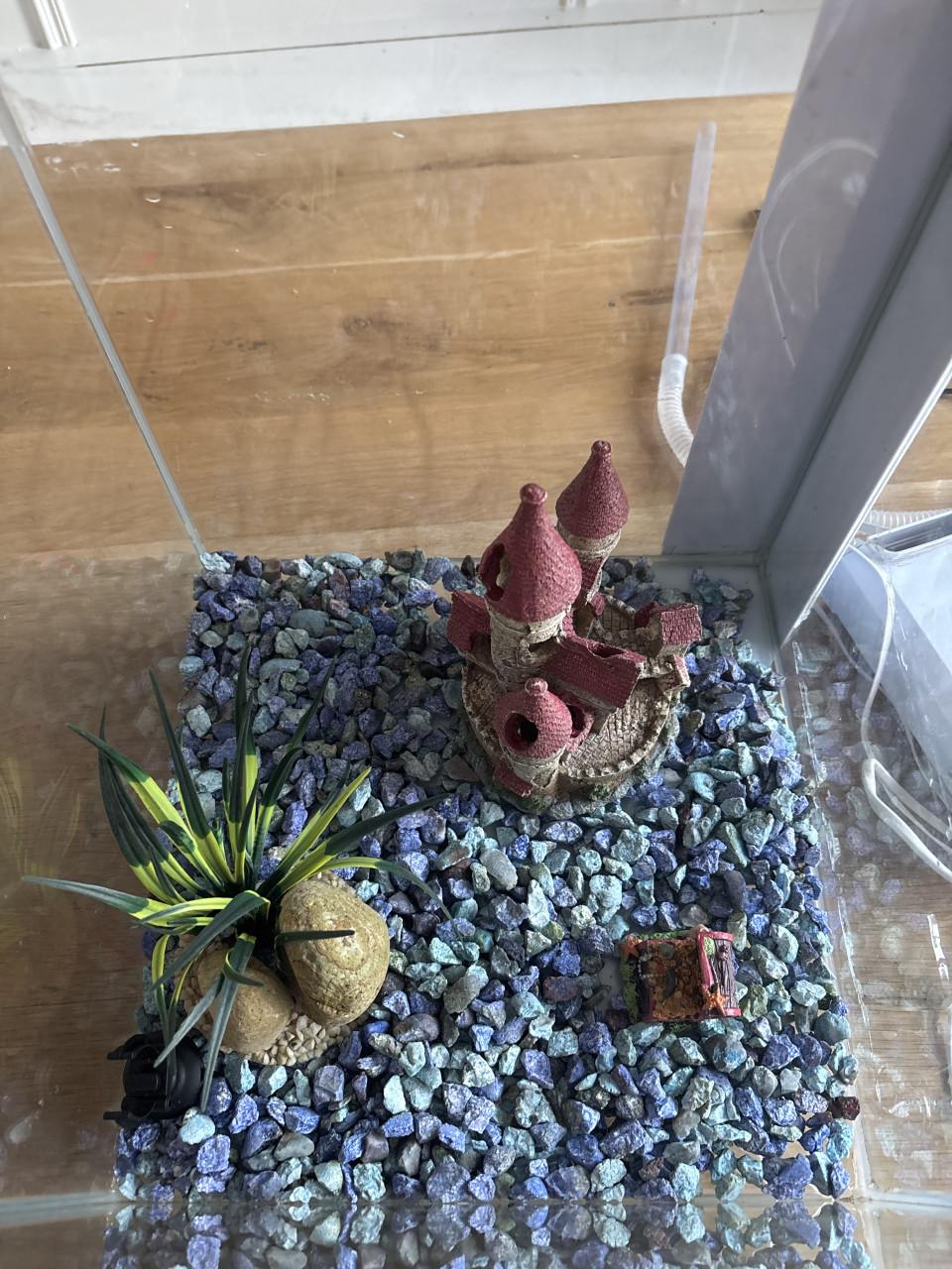 Aquarium