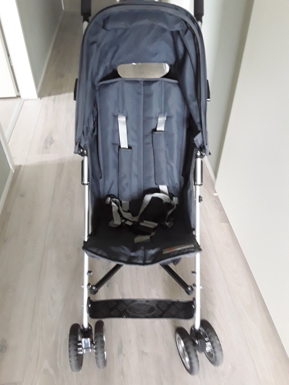 Koelstra buggy