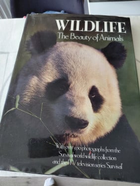 Boek