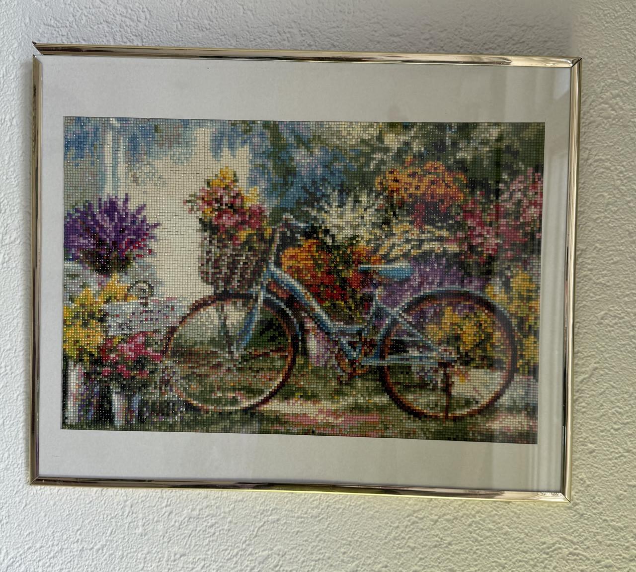 Borduur werkjes / daimantpainting ingelijst