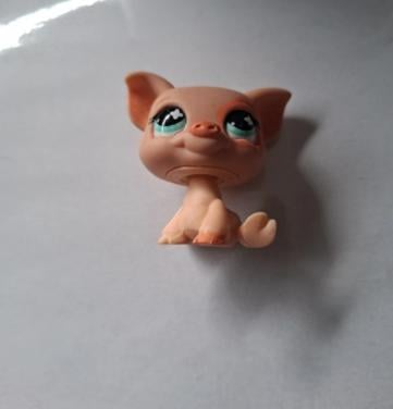 Lps varken #622