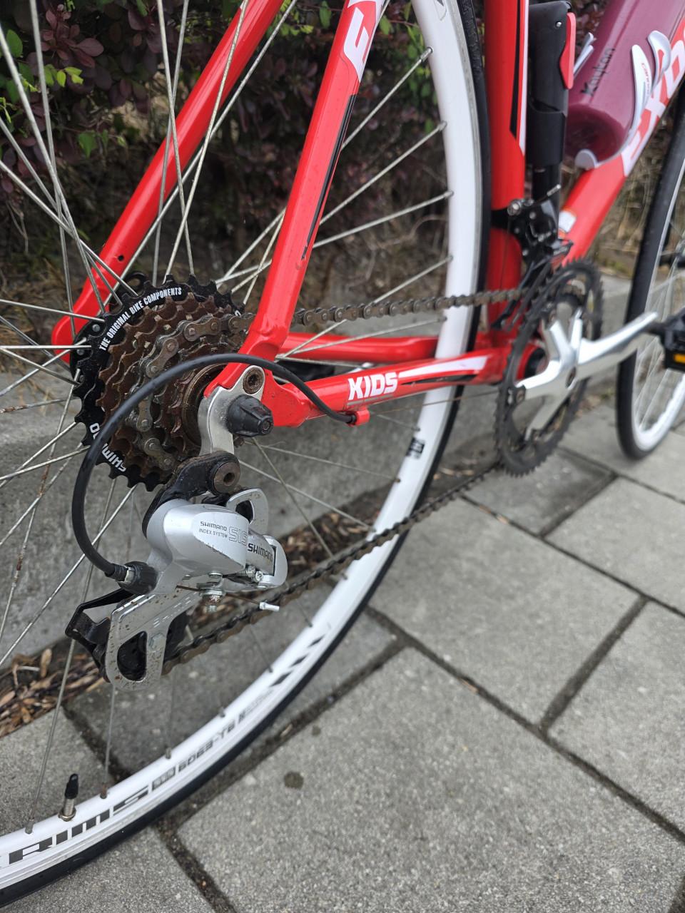 RACEFIETS | EXODUS | 28 INCH | FRAME 56 CM | 2X7 V