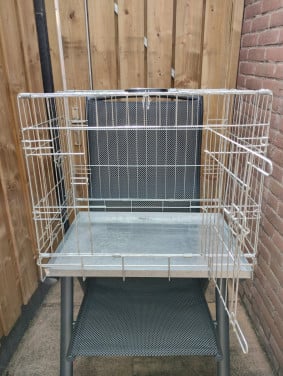 Huisdieren