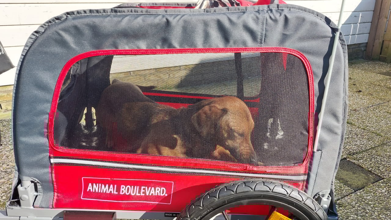 Honden kar in nieuw staat