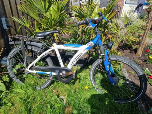 Batavus snake 24inch