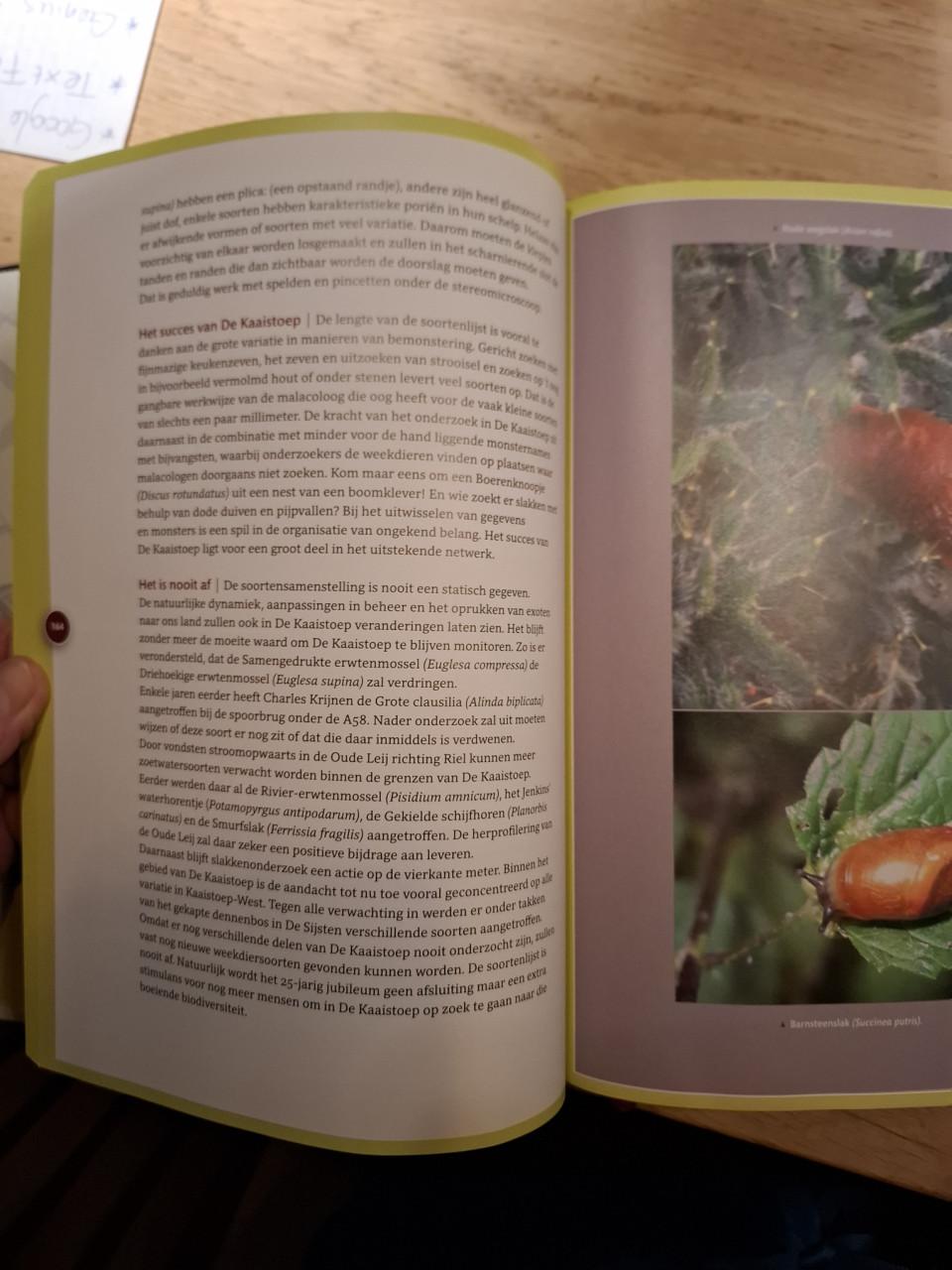 De Kaaistoep, het best onderzochte stuk natuur in Nederland, KNNV Tilburg