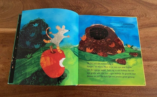 Kleine muis zoekt een huis | Petr Horacek