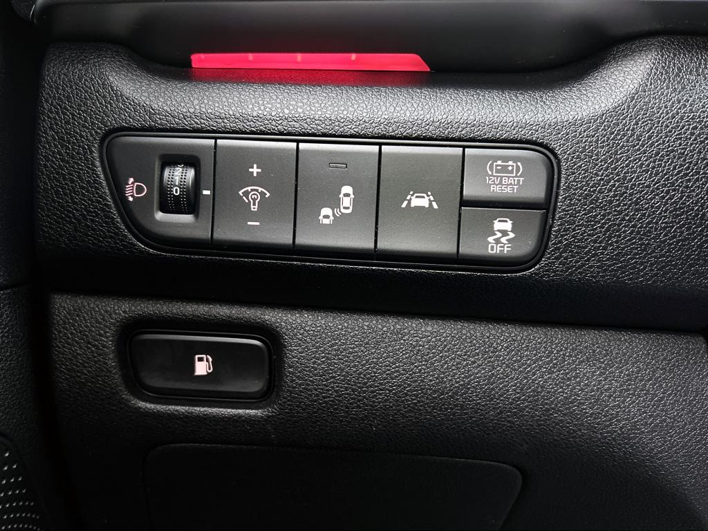 Kia Niro 1.6 gdi hybrid dynamicplusline 18 " velgen | stoel en stuurwielver