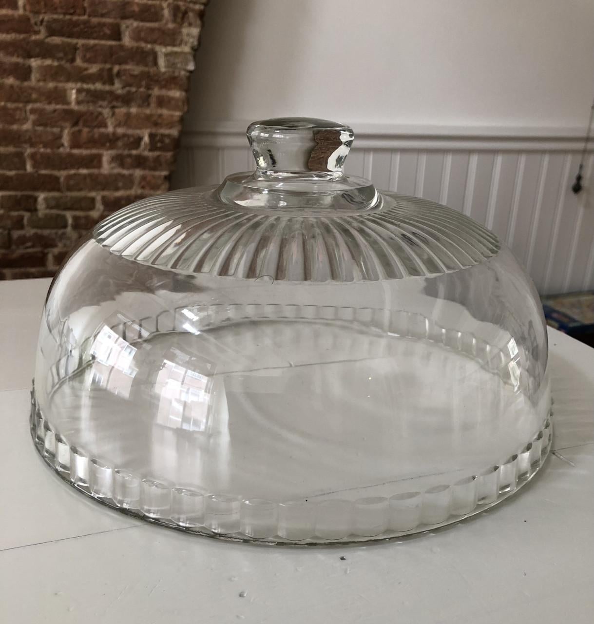 Mooie bewerkte glazen stolp / cloche
