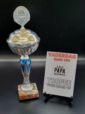 Mooi origineel vaderdag cadeau: De beste PAPA van de wereld Trofee