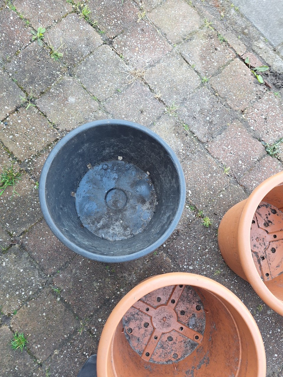 Bloempotten