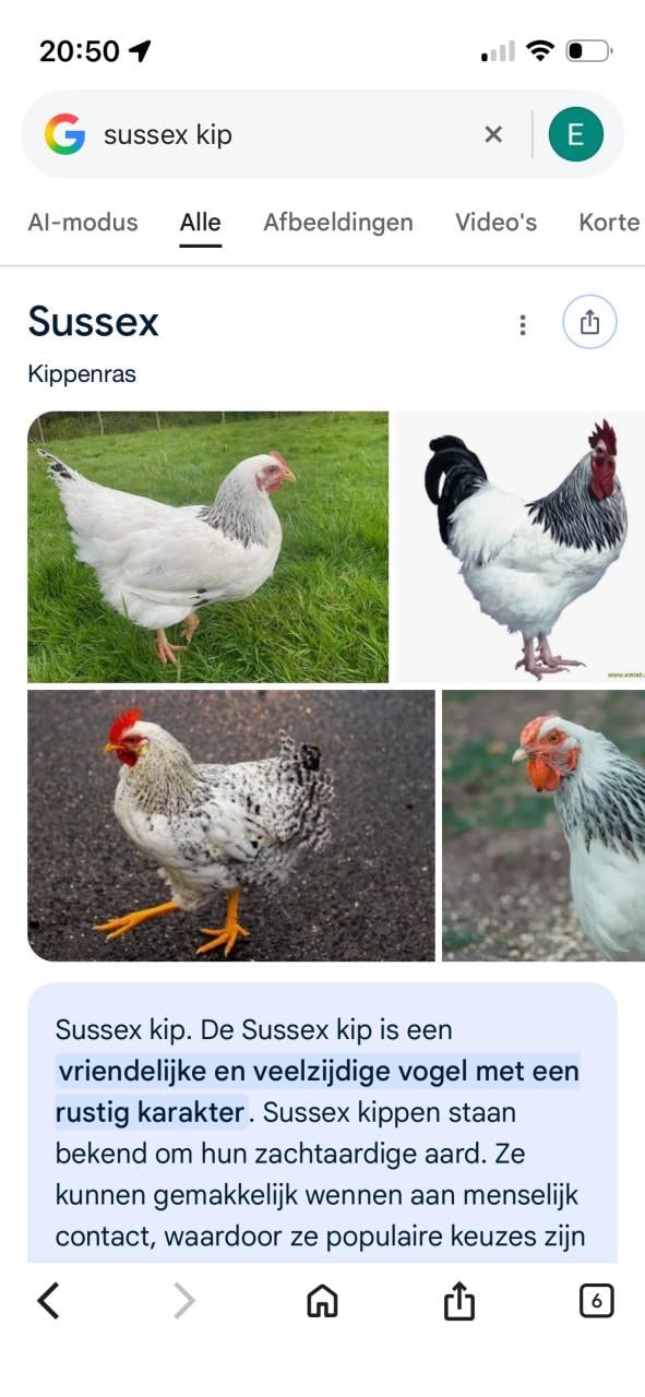 Sussex legkip
