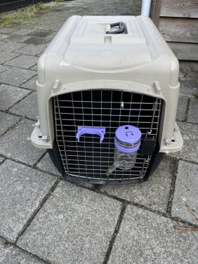 Vliegtuigkennel incl. drinkfles