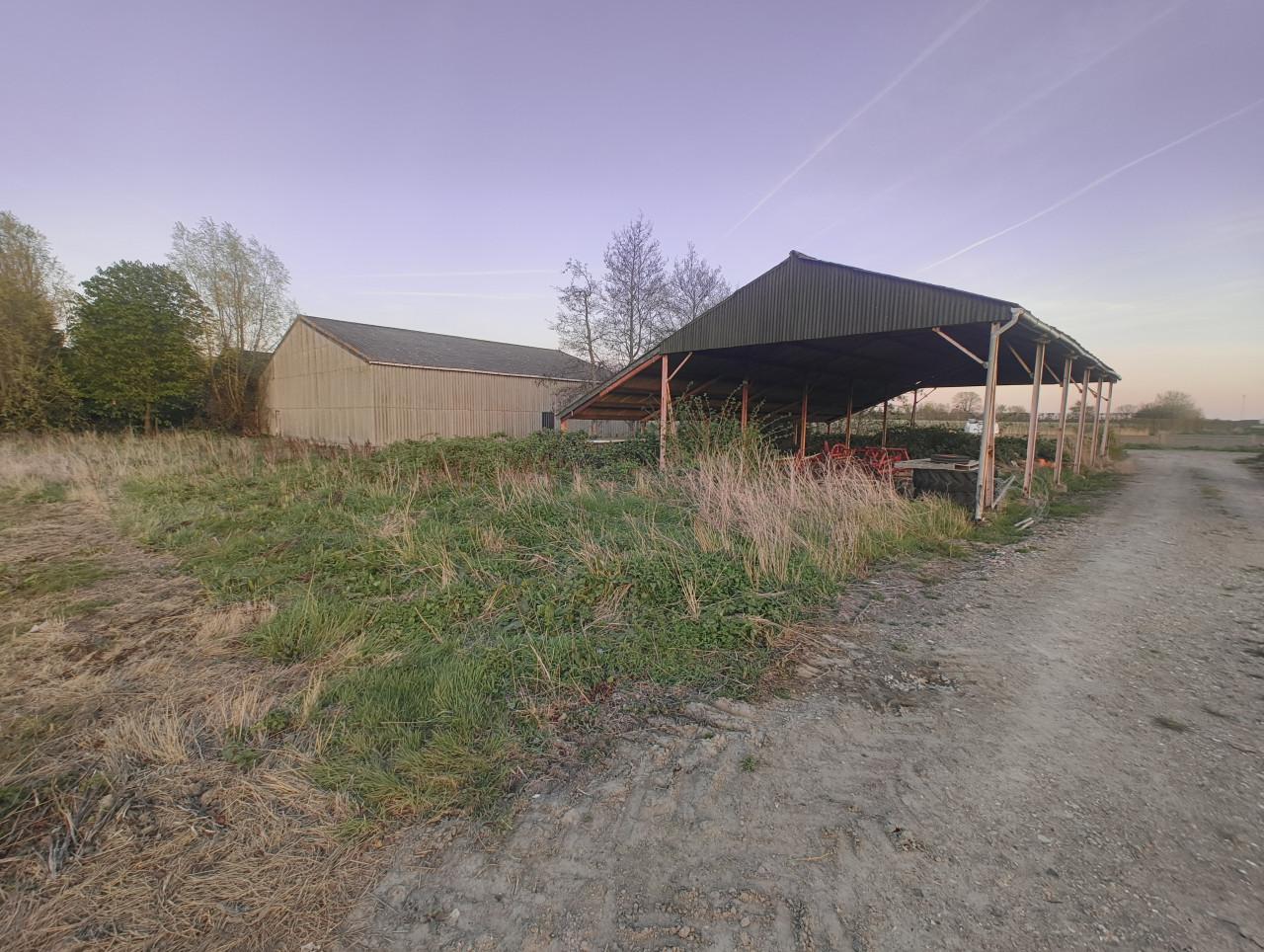 TE HUUR - Loods van 400 m² in het buitengebied van Borssele